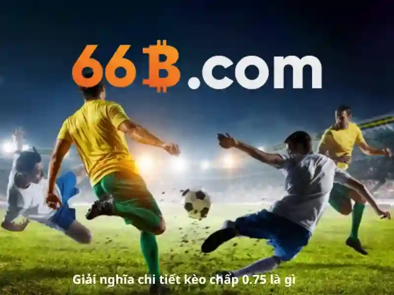 66b là gì và vai trò của nó trong công nghệ số
