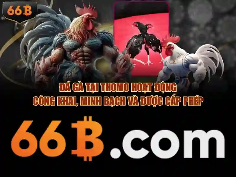 66B: Tổng quan về một mô hình ngôn ngữ 66 tỷ tham số