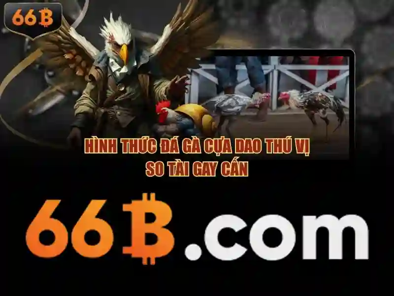 Game bài 66b – sức mạnh thương hiệu và ứng dụng 66b