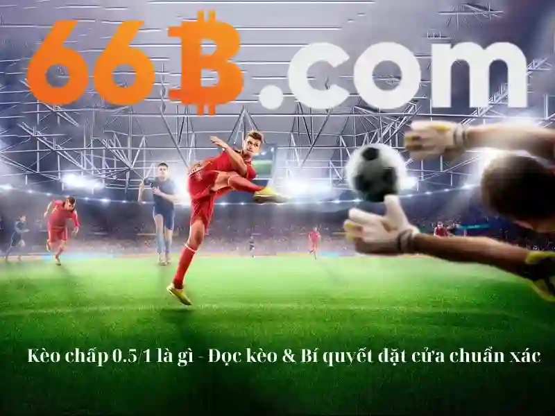 Cách tiếp cận và tài nguyên