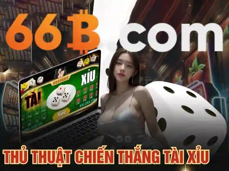 Nguồn gốc và sứ mệnh của sân cầu 66b triều khúc