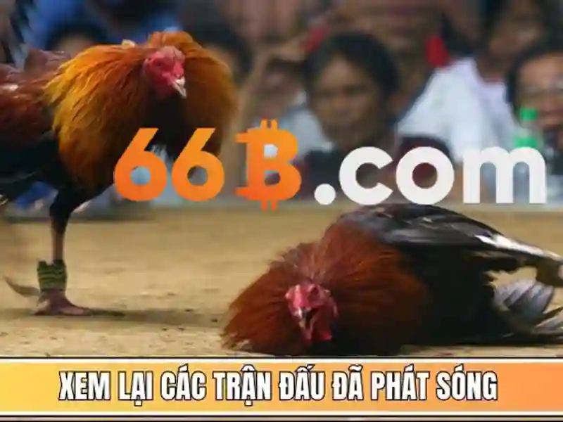 Endrick Rời Real Madrid – Câu Chuyện Phía Sau Quyết Định