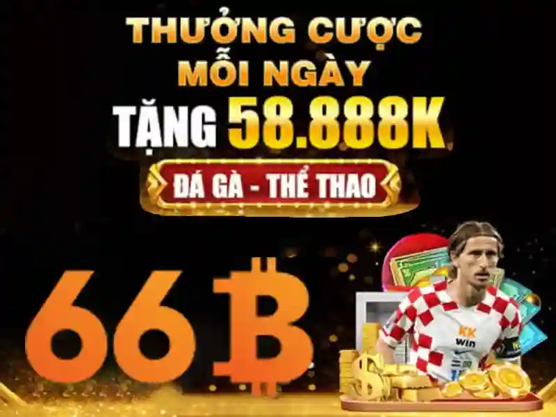 66b. – Nền tảng thương hiệu và trải nghiệm 66b